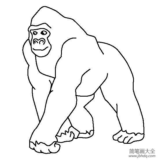 动物简笔画图片大猩猩简笔画