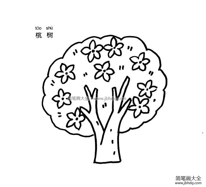 山核桃树简笔画图片