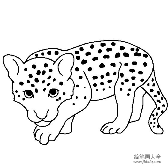 豹的简笔画简单霸气图片