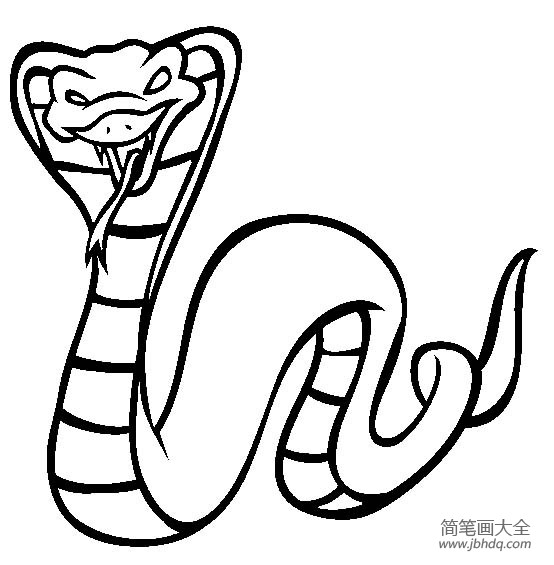 蛇的简笔画恐怖幼儿图片