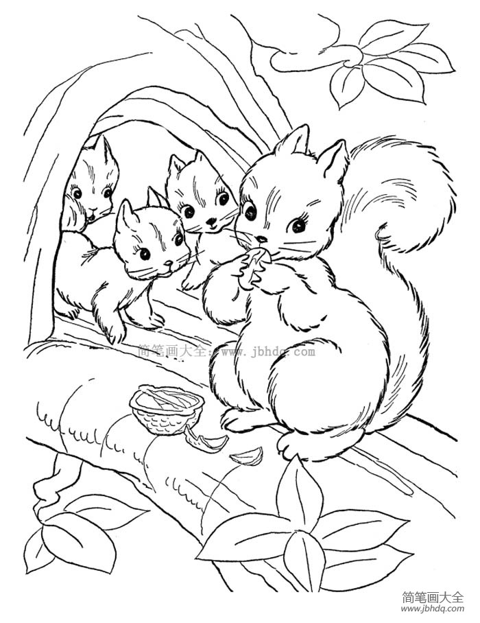 小松鼠和红树叶简笔画图片
