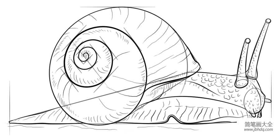 如何画蜗牛