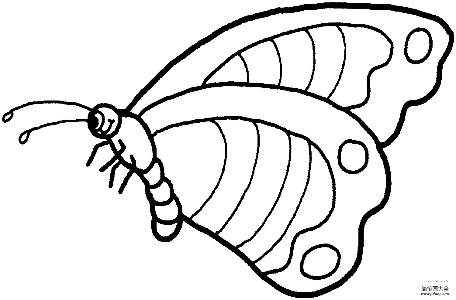简单的蝴蝶简笔画(4)_昆虫简笔画-简笔画大全