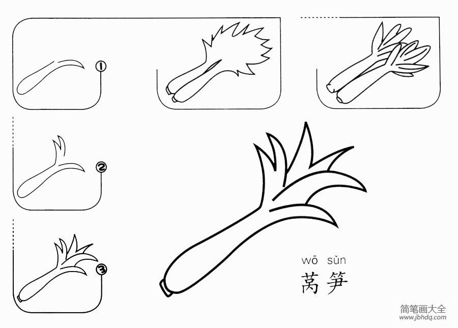 莴苣叶简笔画图片
