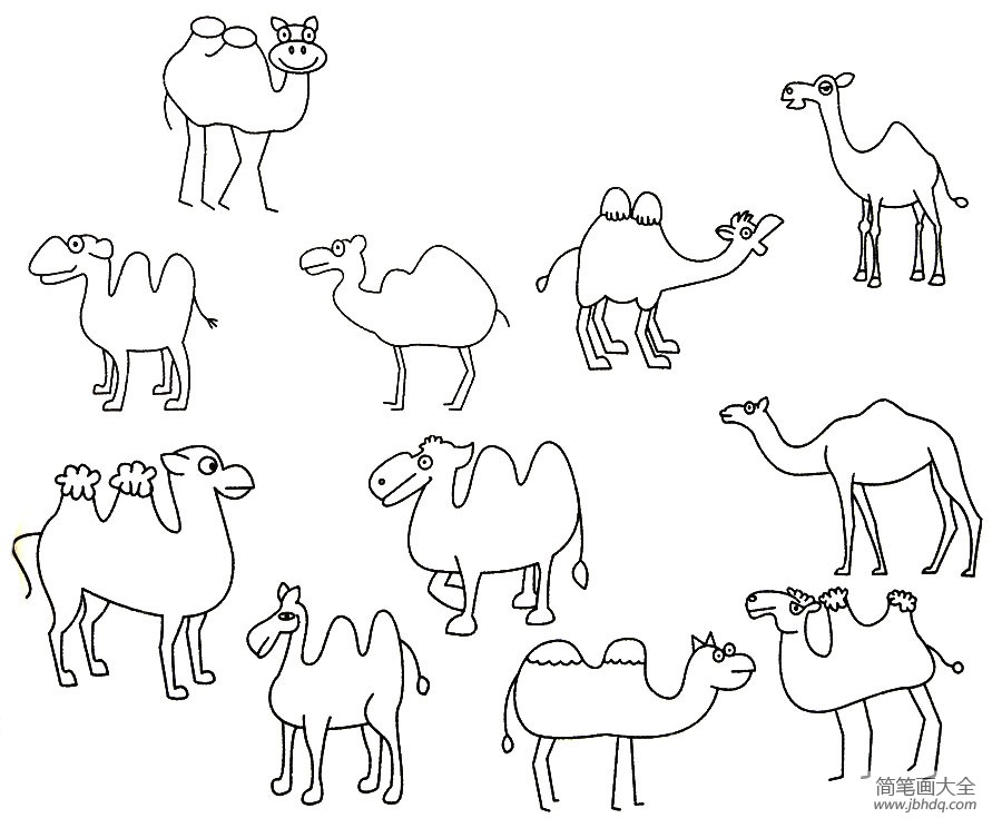 骆驼的简单画法图片图片