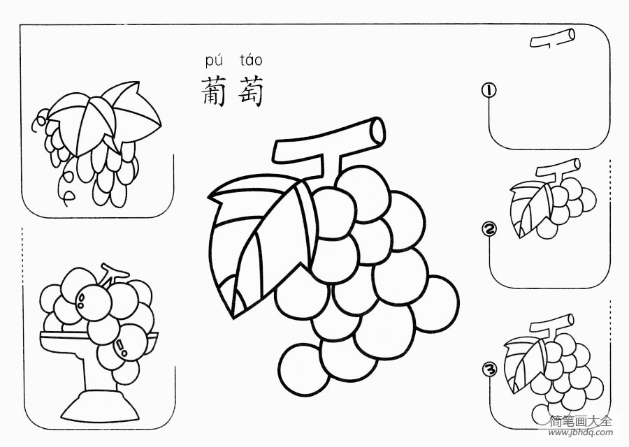 野葡萄怎么画简单图片