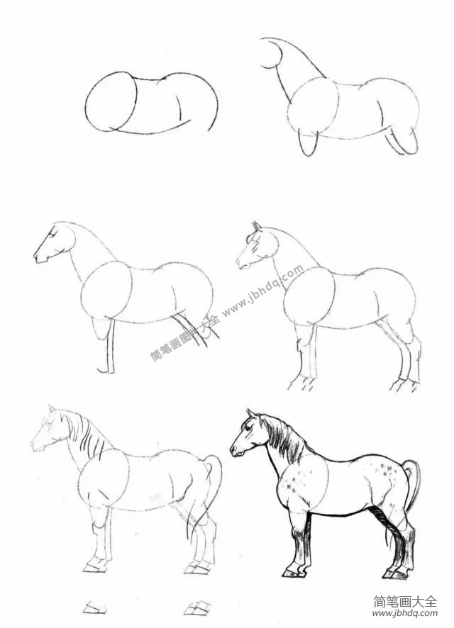马头怎么画 步骤图片