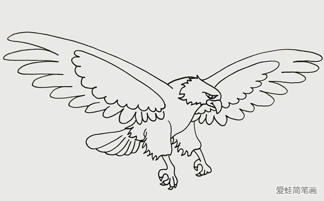 阿根廷巨鹰简笔画图片