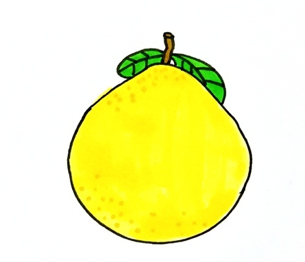 柚子绘画 简笔画图片