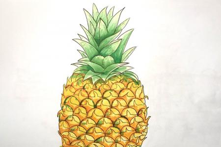 怎样教小朋友画菠萝