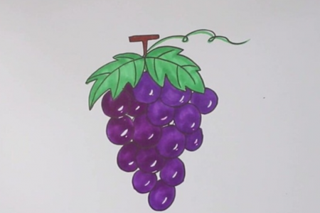 葡萄怎么画 一步一步